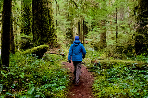Provident Park Square - Forest Trail